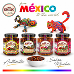 Don Emilio 4 Pack Premium Salsas - Morita Pepper, Red Pepper, Peanut with Select Seeds and Spicy Garlic Sauce (4/9oz)